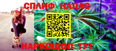 гашик Малгобек