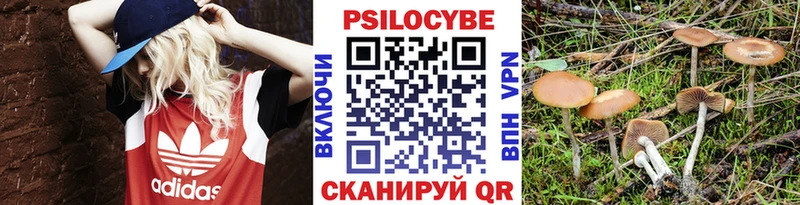 Псилоцибиновые грибы ЛСД наркошоп Саянск