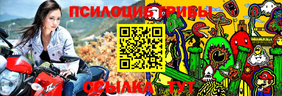 Саянск  Псилоцибиновые грибы мицелий  Вход с VPN 